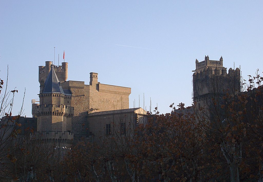 Castillo de Olite by Carlos Alvarez