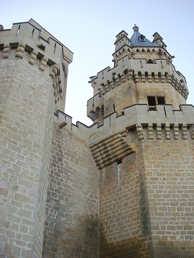 Castillo de Olite by Carlos Alvarez