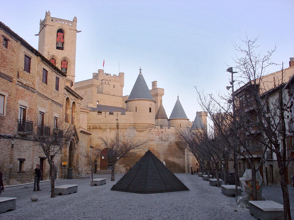 Castillo de Olite by Carlos Alvarez