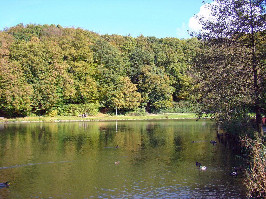 Die Callerbachtalsperre in Iserlohn by Windbergbewohner