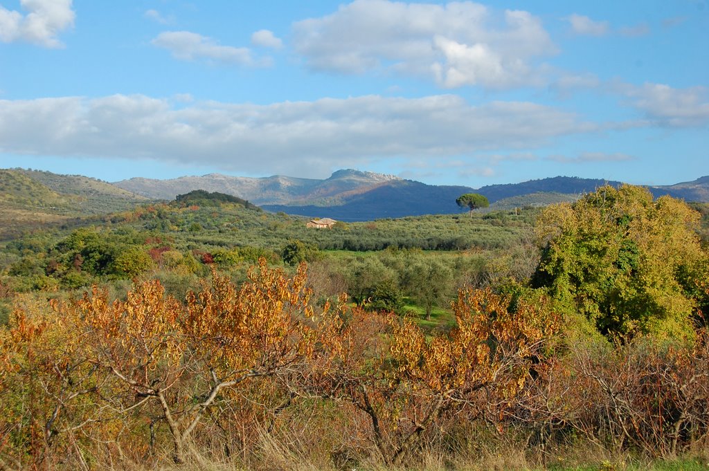 Campagna laziale in autunno presso Poli by lucabellincioni