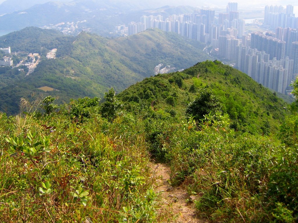 Hong Kong Hills 036 - Southern Slope of Razor Hill 鷓鴣山南坡 by HK-Hiker