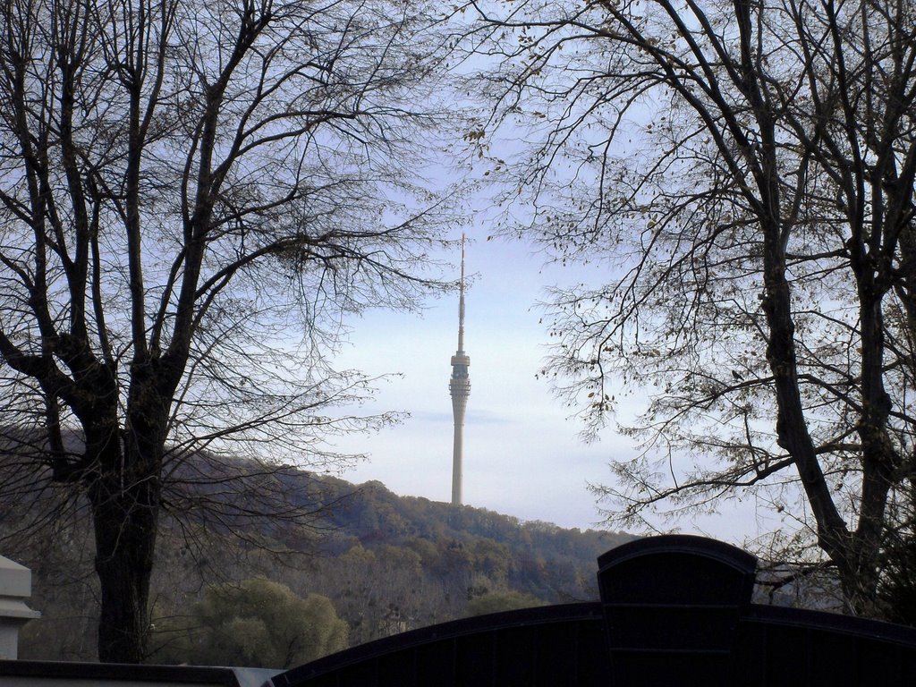 Fernsehturm im Sonnenaufgang by Kampfmops1976