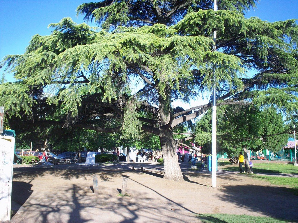 Ezeiza, calle Republica. by Radeev Vitali