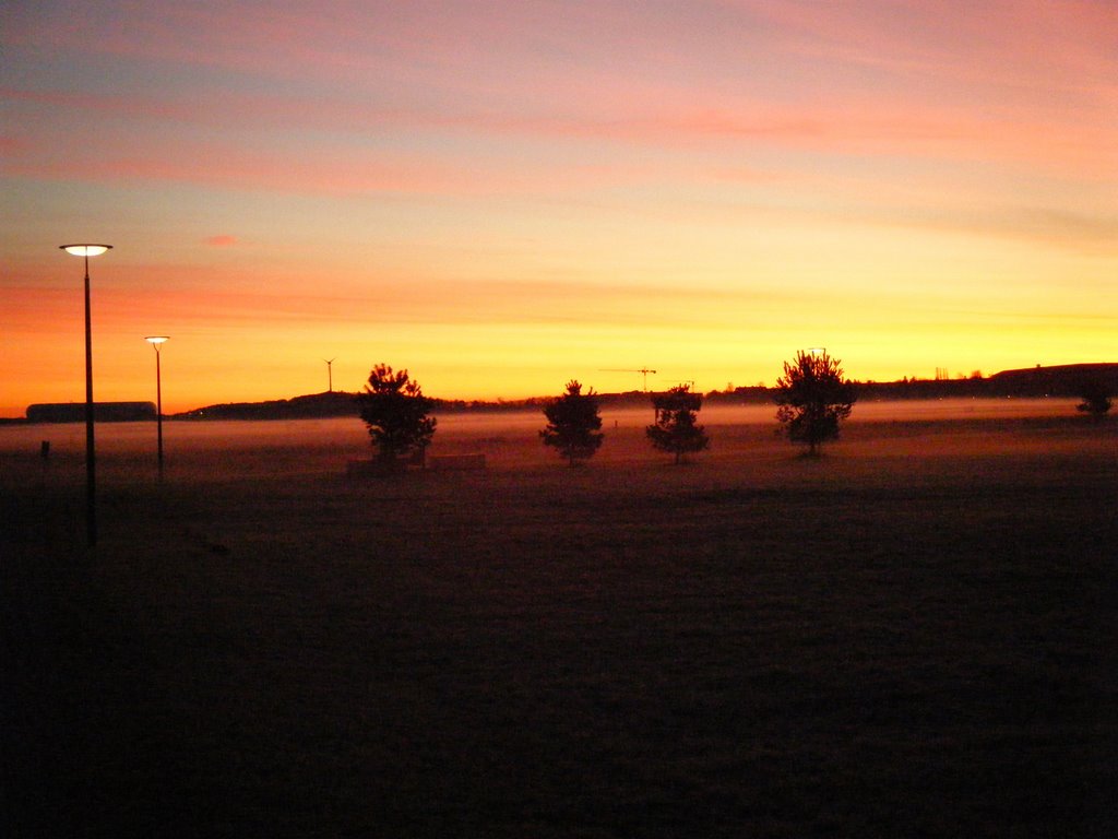 Sonnenaufgang an der Panzerwiese by Rainer Zufall