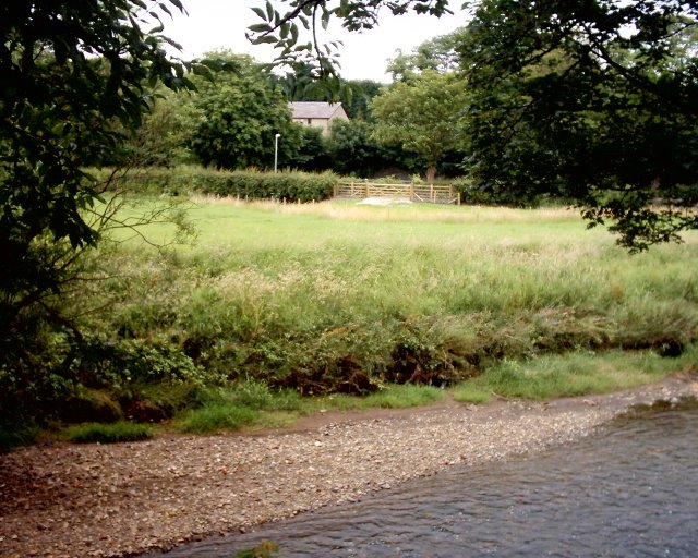 River irwell by alfweed