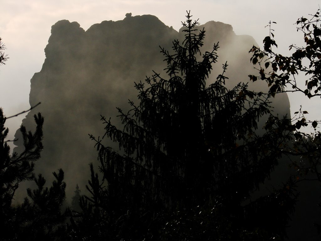 Der Falkenstein im Herbstnebel by Rainer Wichmann