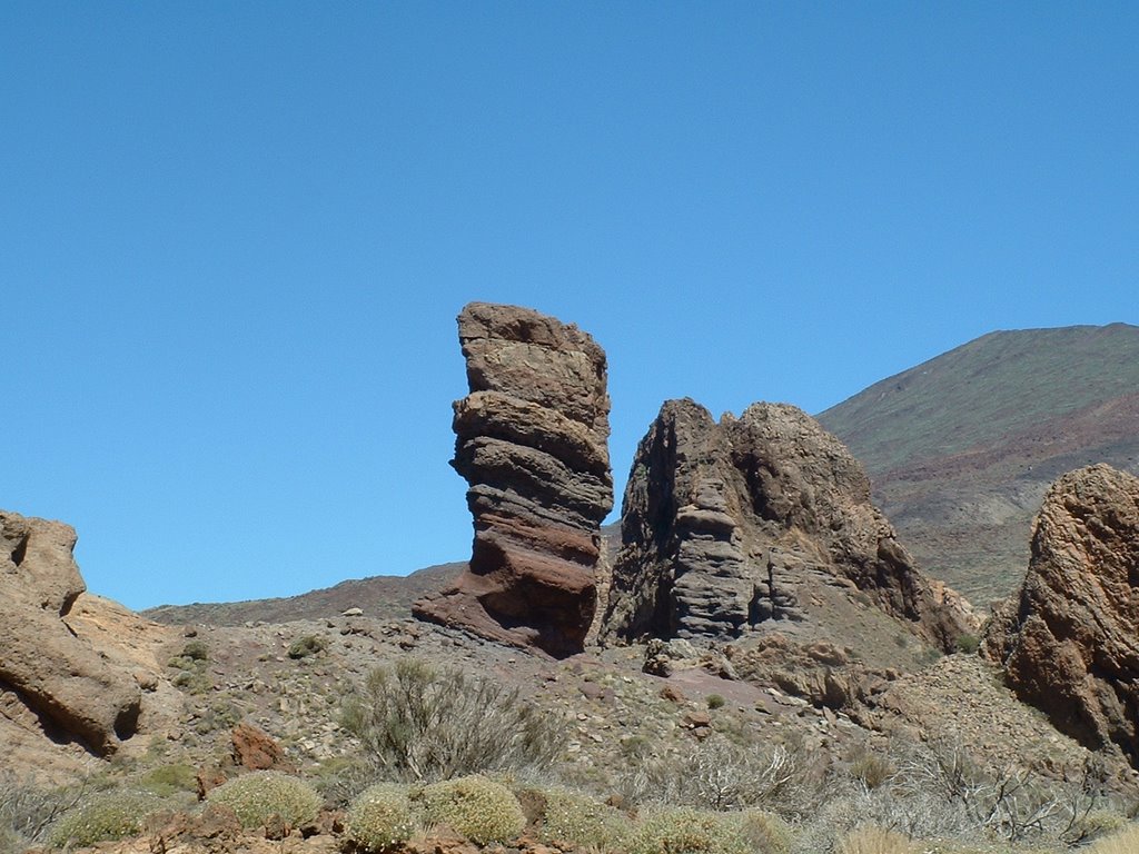 Tenerife by Pedro Alcaina