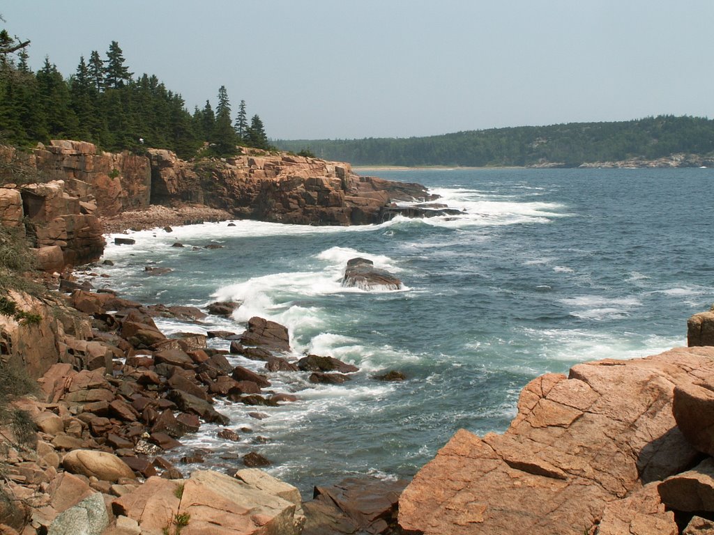 Acadia Shore by Dana Jensen