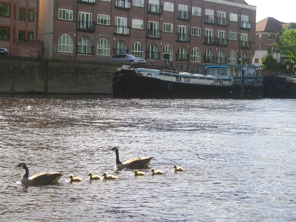 Ouse River by s.nogueiralago