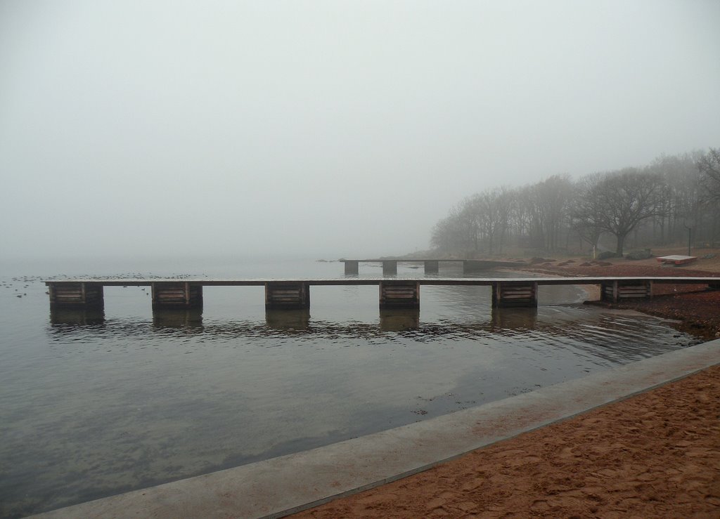 Saltö on a foggy day 2 by Spacebug