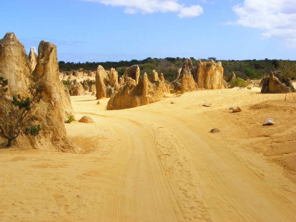 Nambung National Park, WA by katejoy77