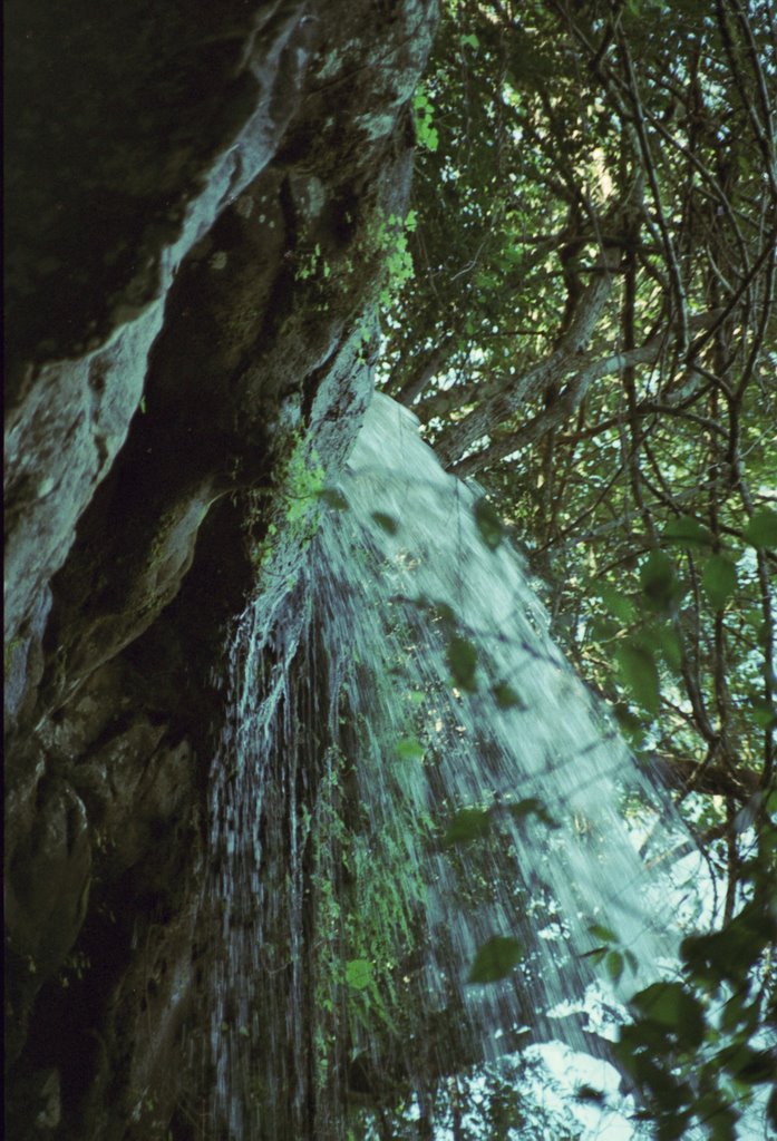 Waterfall in the jungle by Hans Hartings