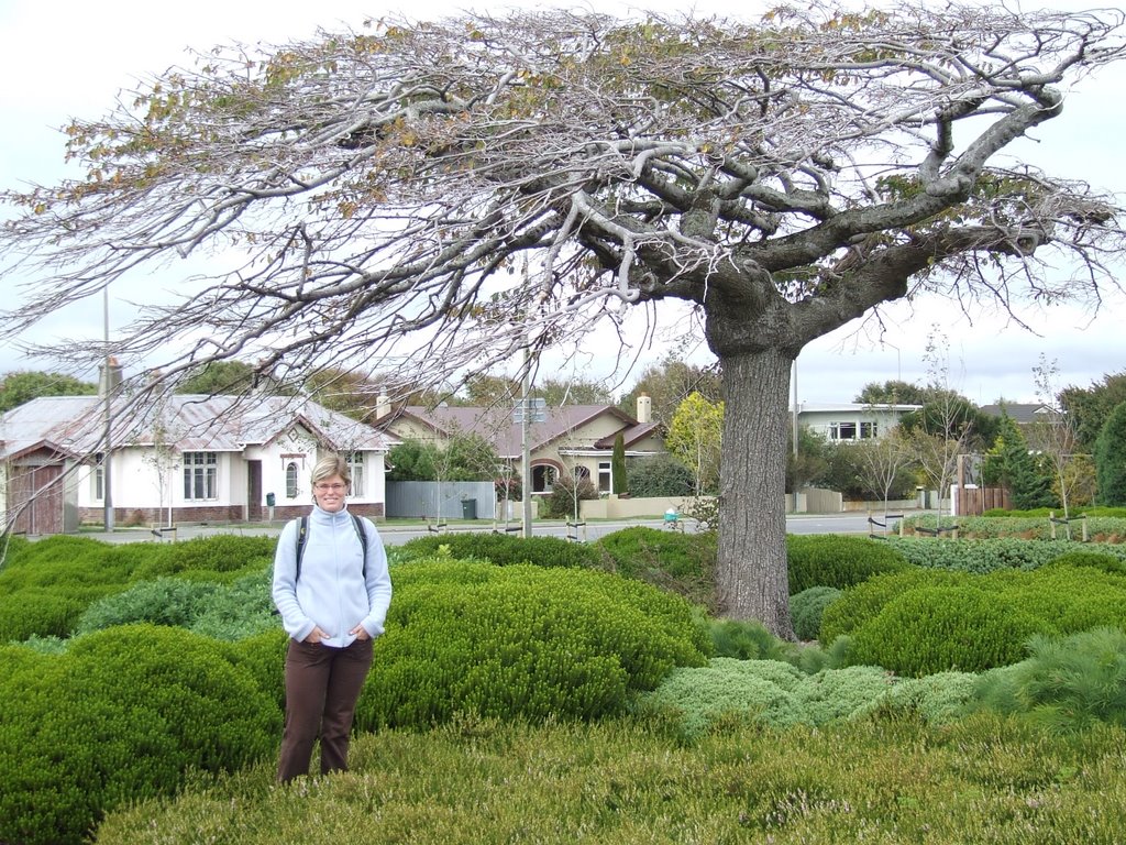 Invercargill by Eva Bart