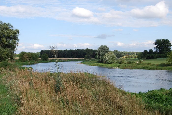 River Warta seen from the Old Bridge by kjanis