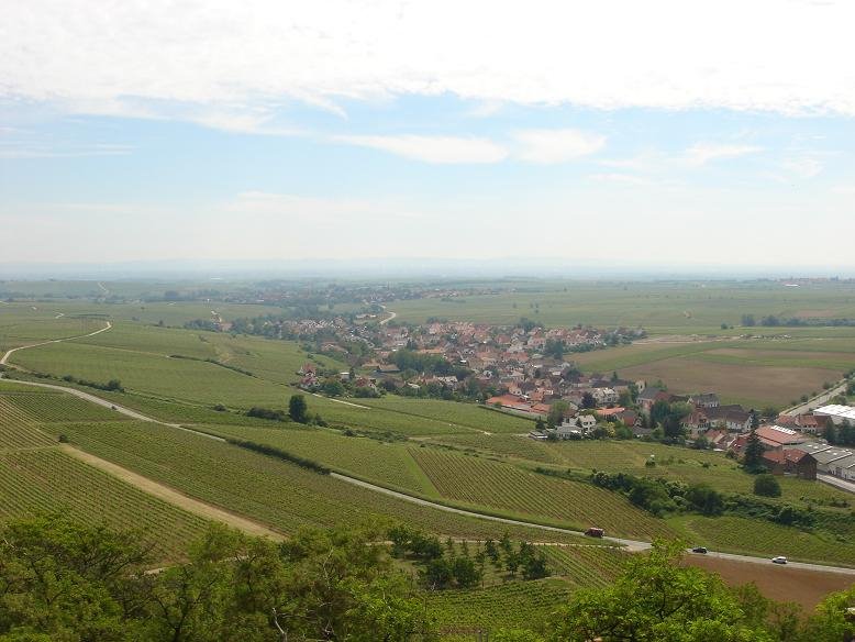 Blick auf die Ebene - View from Burg Neuleinigen by patrique3000