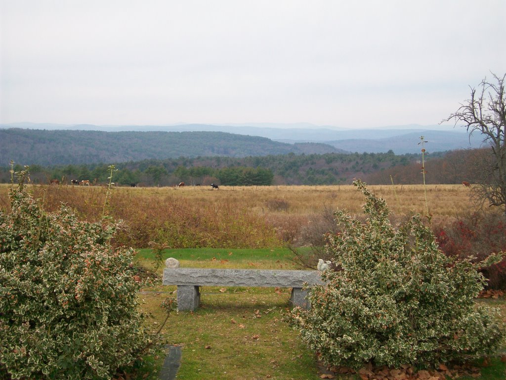 Granite Bench with Great View by D.Campbell