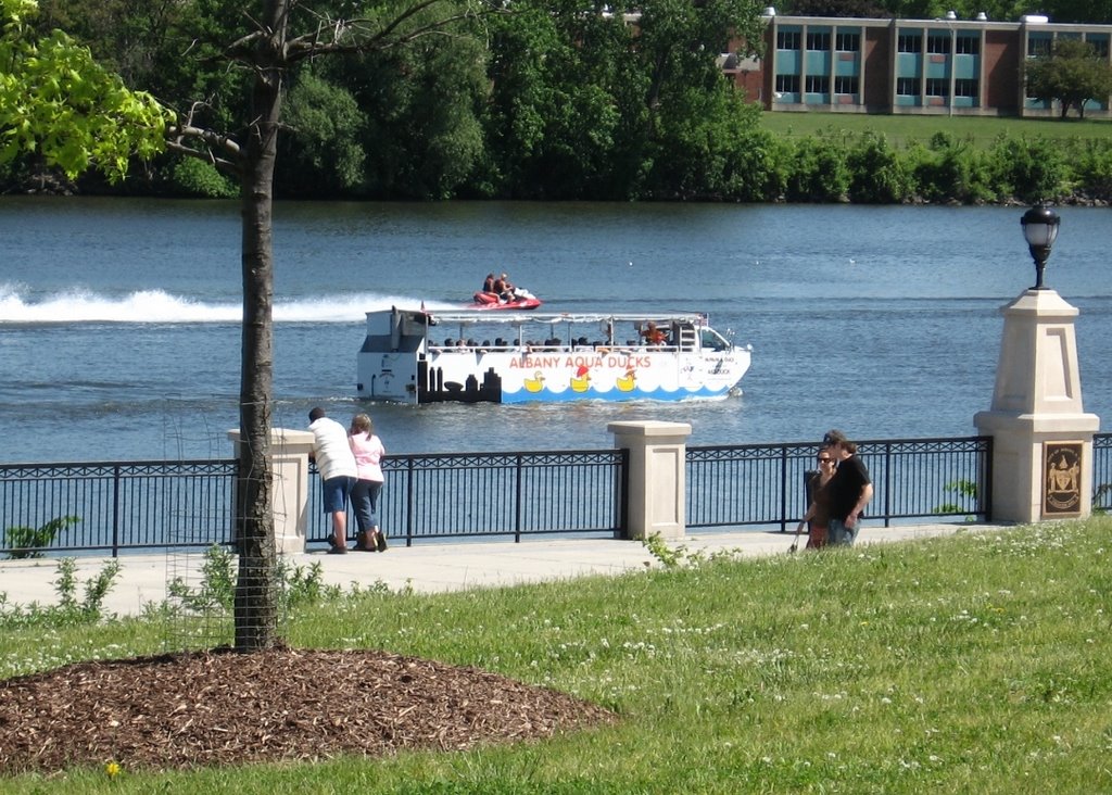 Albany Aqua Ducks by Kurtman518