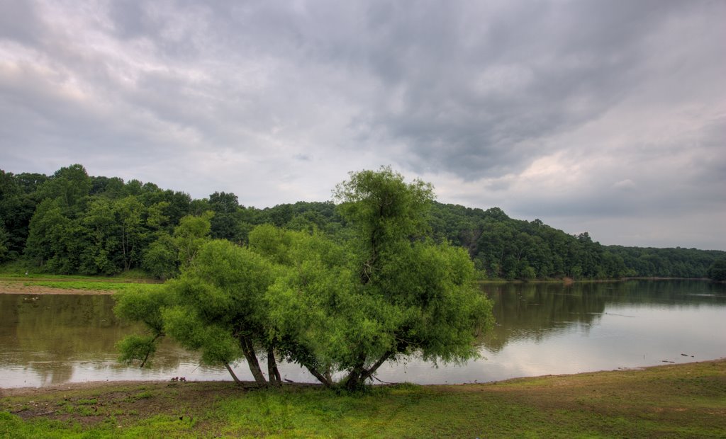 Lake Needwood by morganglines