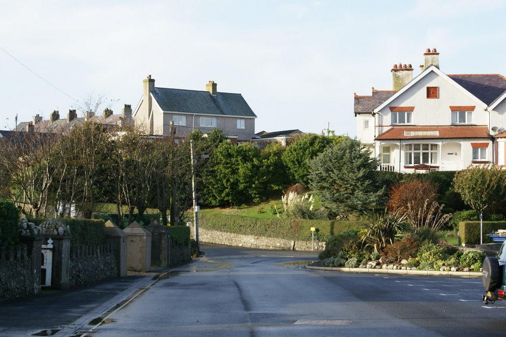 Beach Road, Cemaes by Bigdutchman