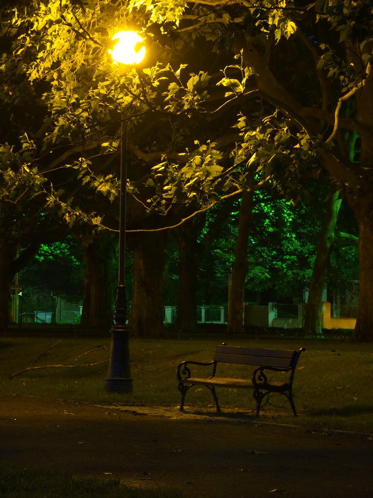 Park Kasprowicza Nocą by MateuszM