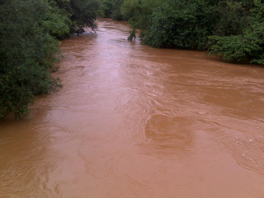 RIO FEITORIA "CHEIO" NO CENTRO by pvherrmann