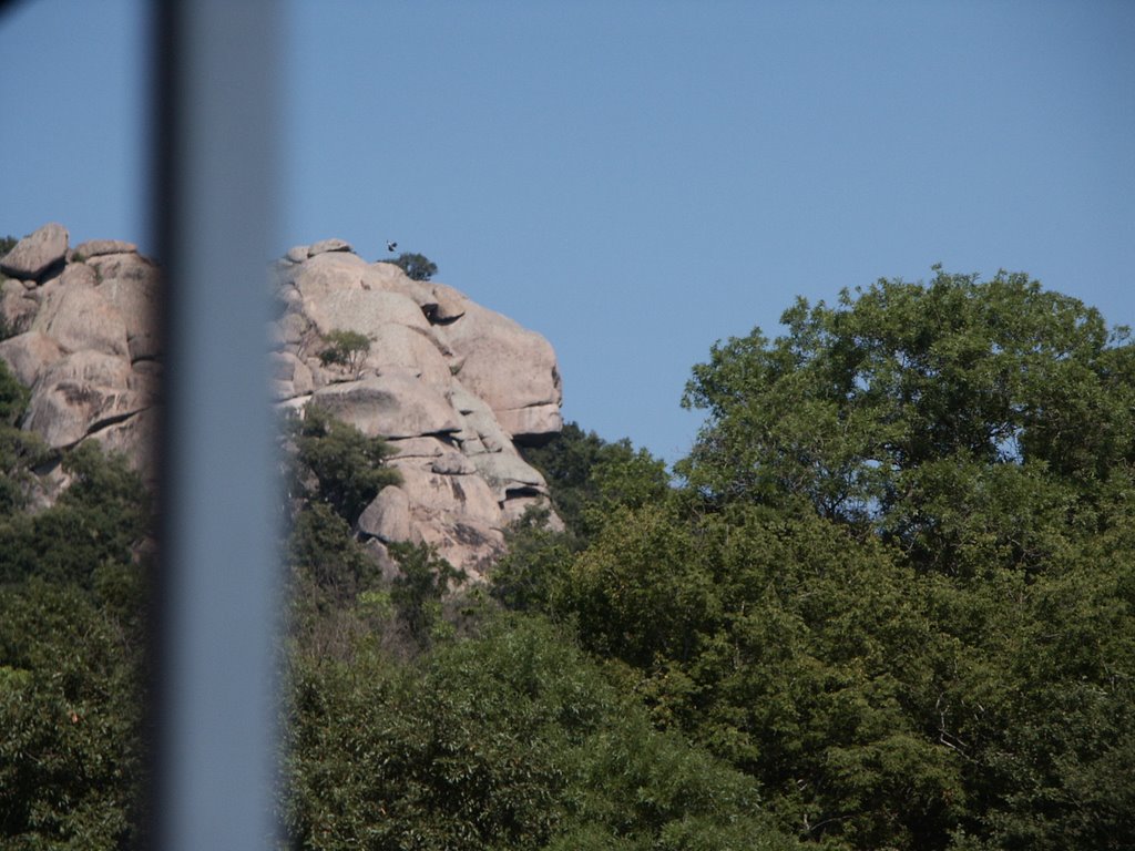 Lion's Head in the Rocks over the Ropotamo River by mtonev