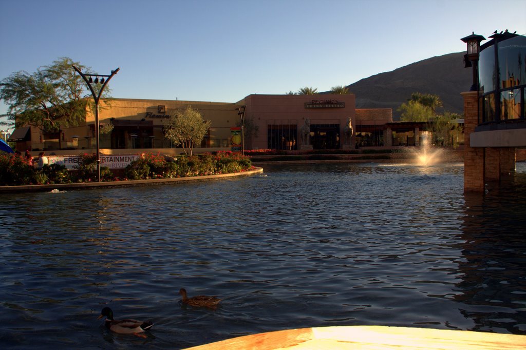 River at Rancho Mirage. Palm Spring, California. by aleksolo