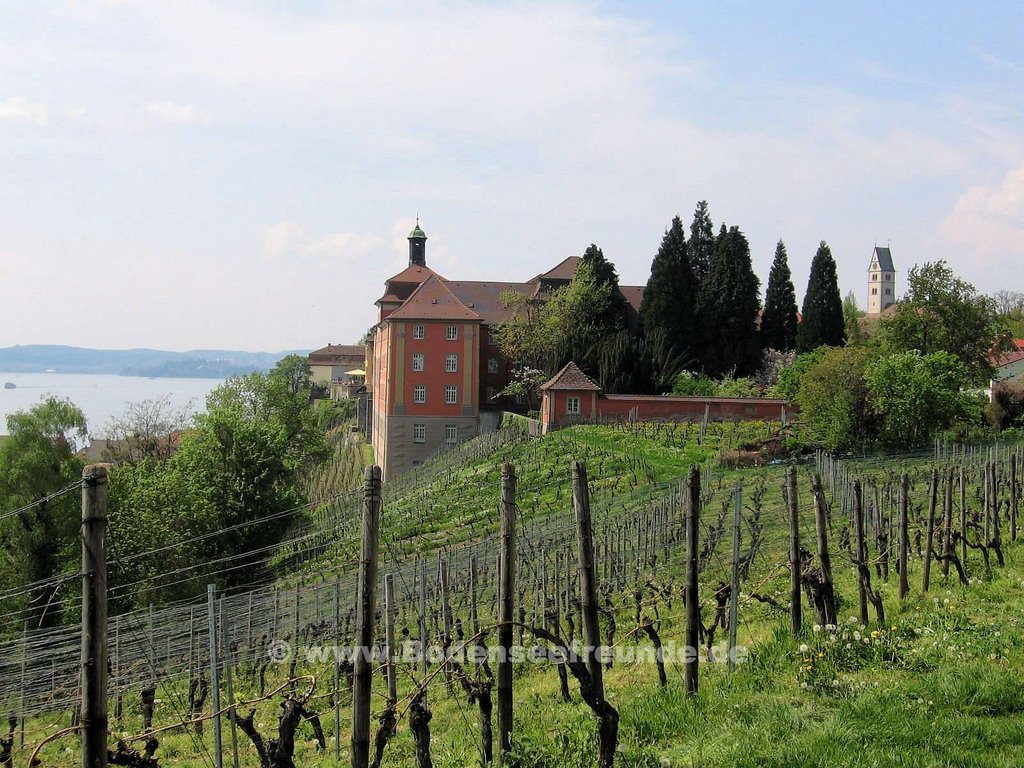 Meersburg Weinberge by Bodenseefreunde.de