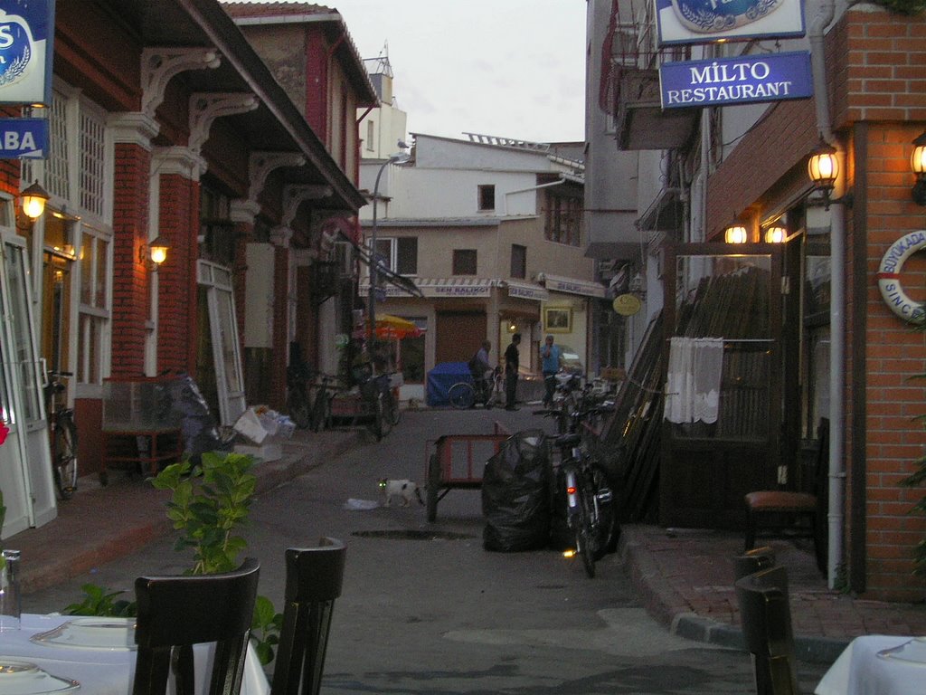 Büyükada / Lonca sokağı by Sergej A. & Shadjar …