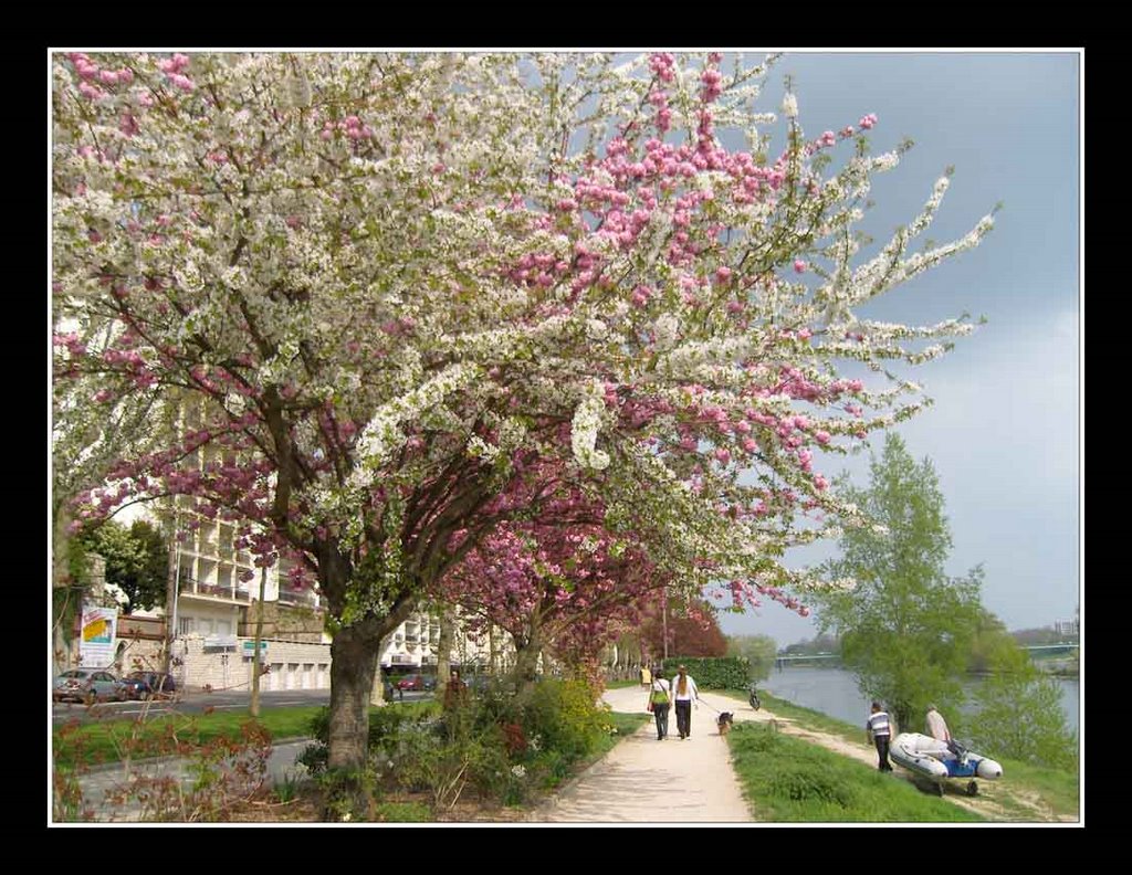 Quais de la Loire by lilian-alizert