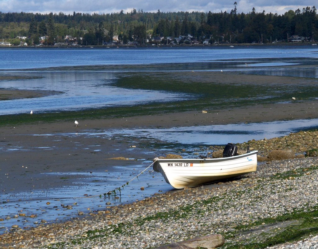 Low Tide on Birch Bay by wrighthw