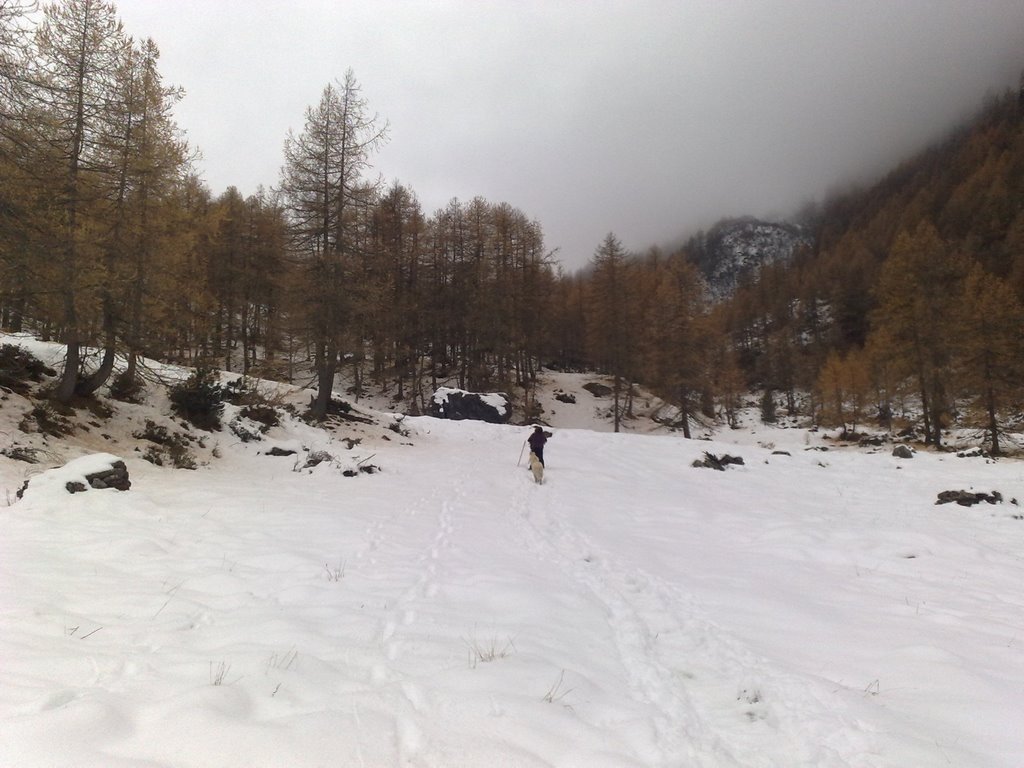 Sentiero innevato verso rifugio Toesca by andrewm83