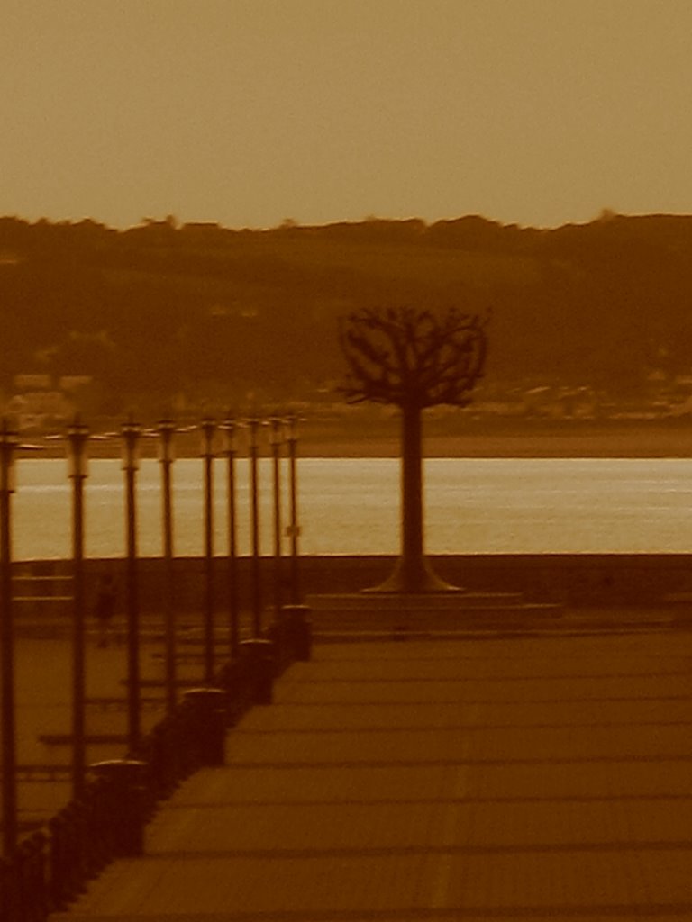 Jersey tree by Stuart Goodman