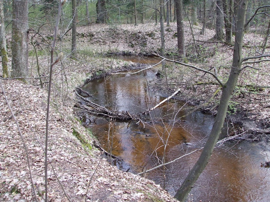 Dębowiec by milenal