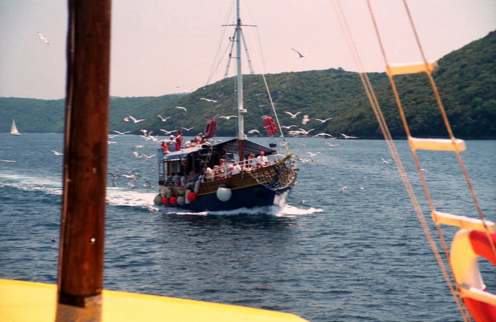 Limski Fjord - excursion's boat by Kriss Topher