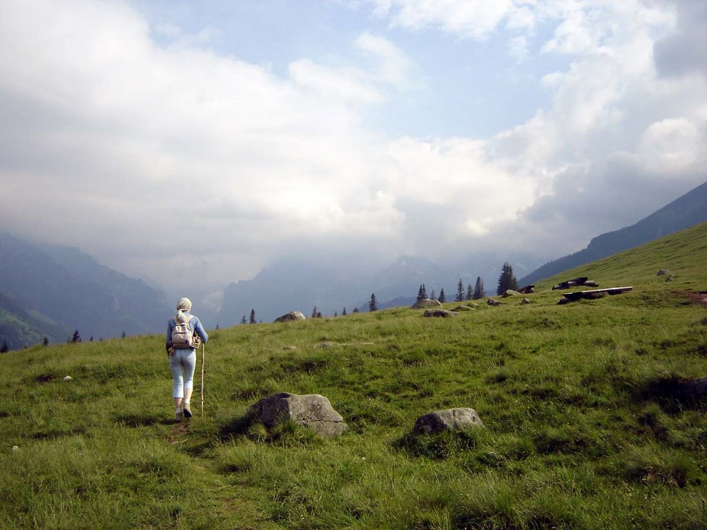 Tatra Mountain's Rusinowa glade by Marcin Kencki