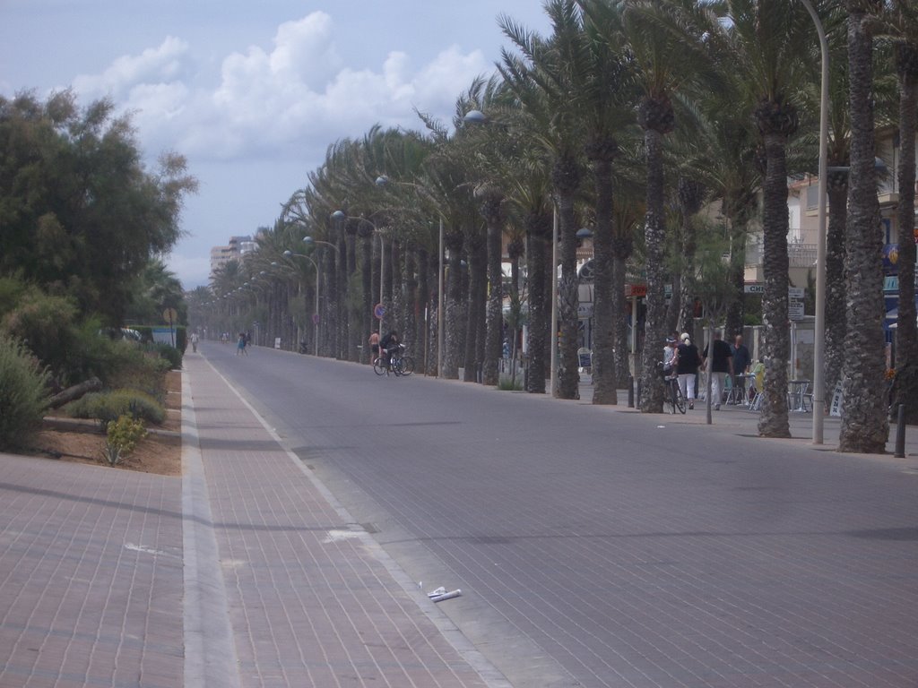 Waterside promenade with palm trees by makro