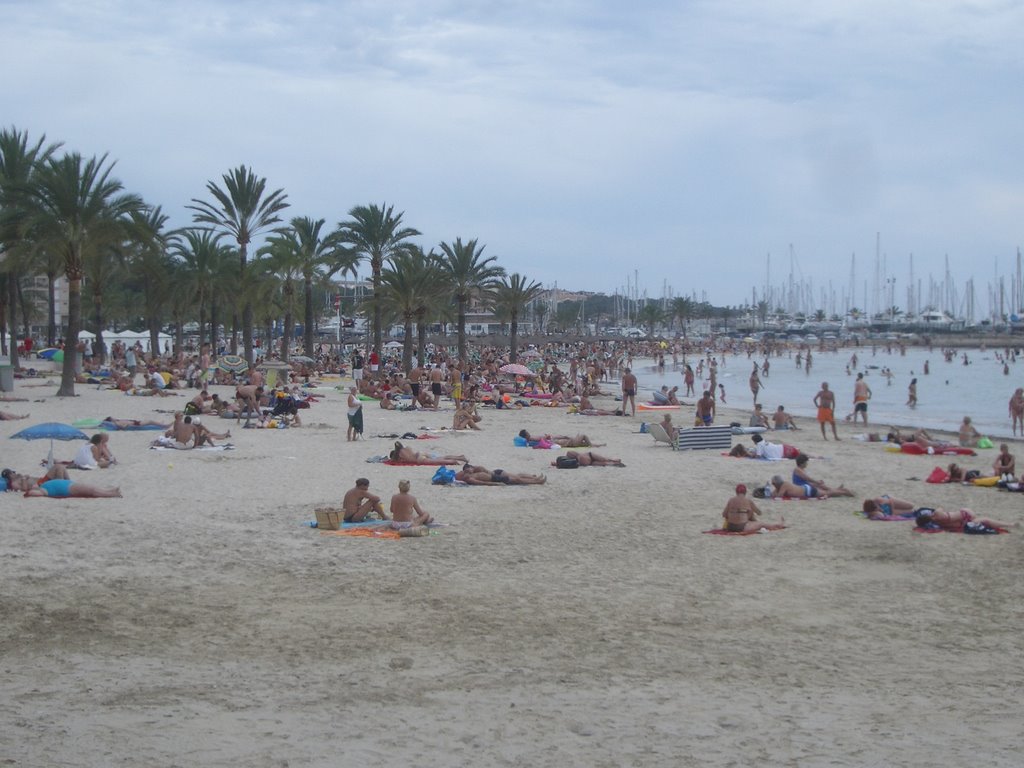 Beach and Arenal marina by makro