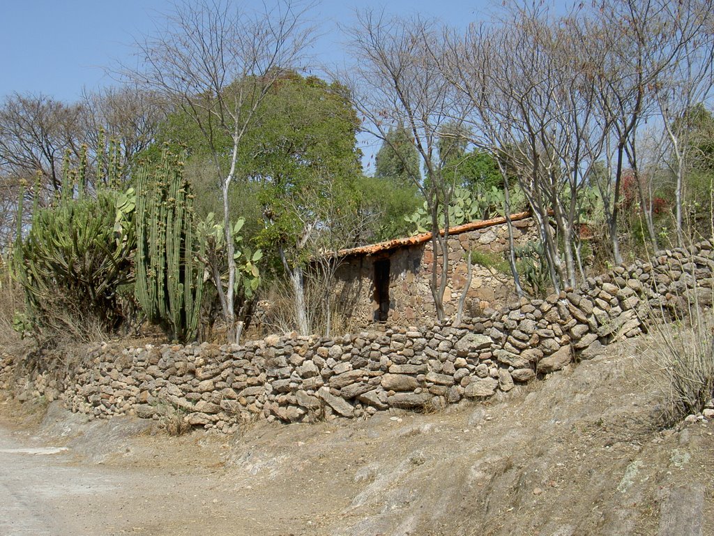 A house at La Cañada (Una casa en La Cañada - Une maison dans Le Vallon) by Max B. Martins