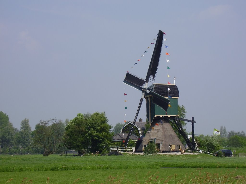 Windmill in de ronde venen by Michiel_Konst