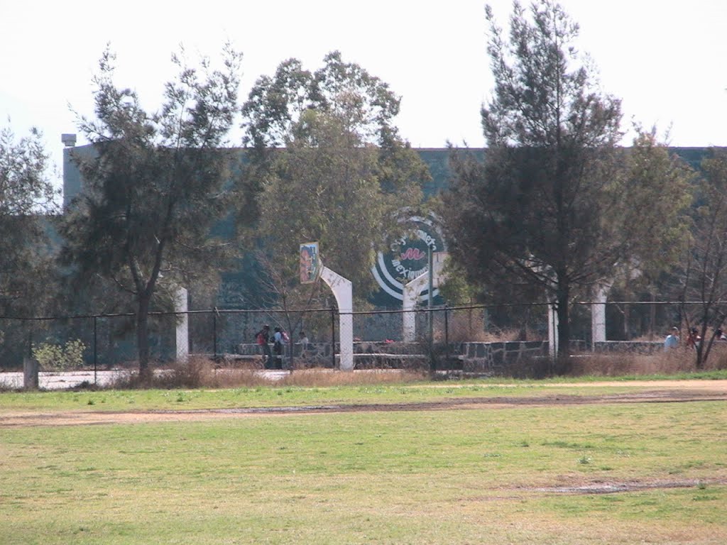 Game Courts at the UTN (Canchas en la UTN - terrain de jeux dans L-UTN) by Max Martins