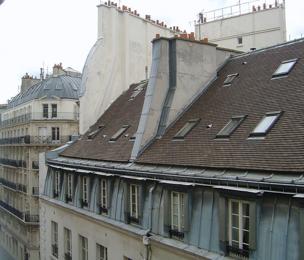 Paris Rooftops [ just look at those chimney pots ! ] by manxman069