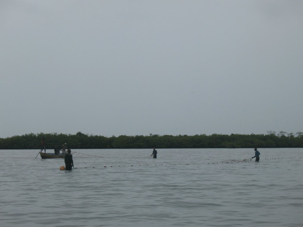 Ilha dos Porcos by Fundación Tierra Ibérica