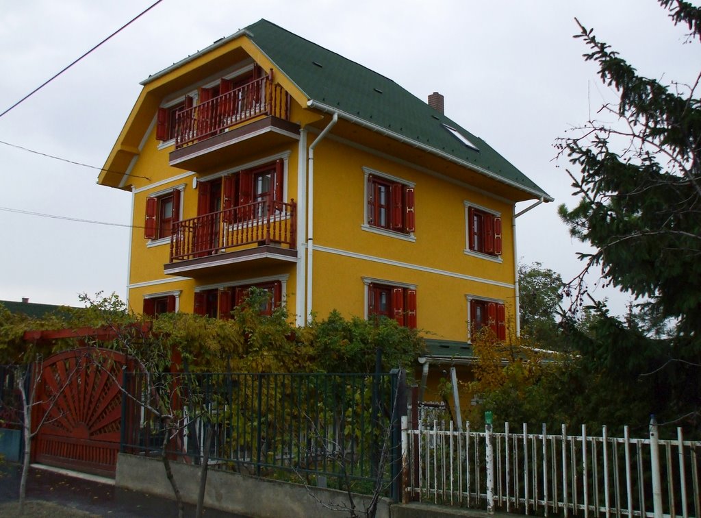 200911181257 Csepeli lakóház a Mária királyné útján (Dwelling-house in Csepel district) by Kornél2009