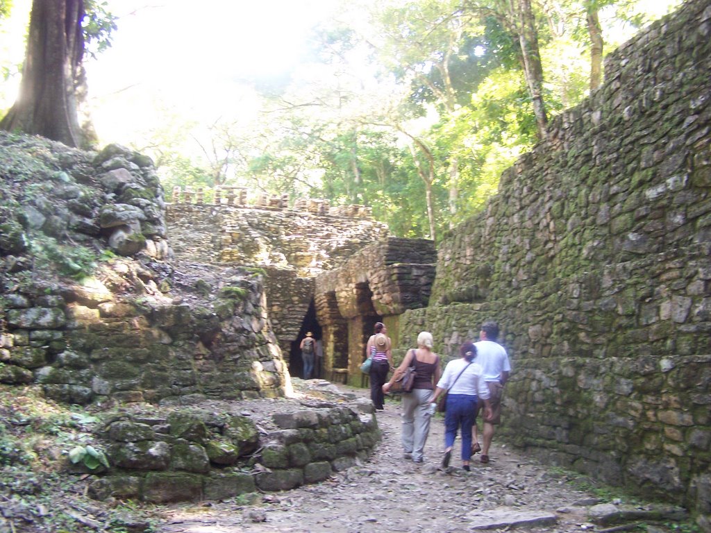 Entrada al Laberinto en Yaxchilán by jetxea