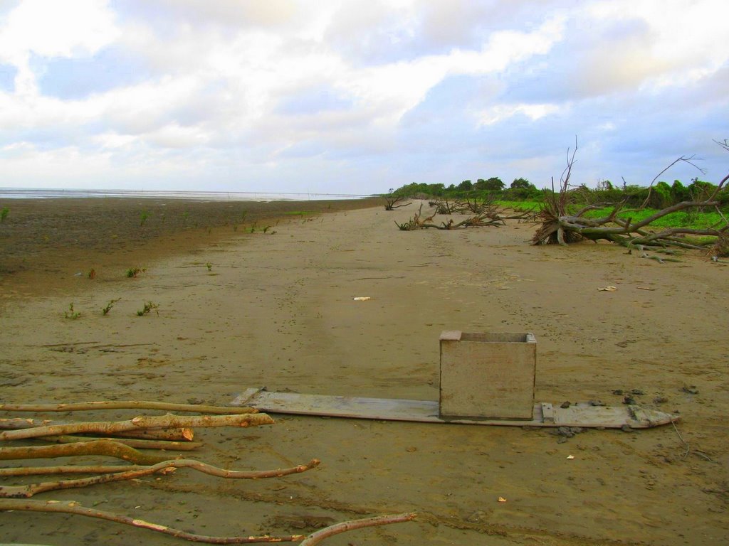 No. 35 beach looking towards eversham. by Mervyn Romeo