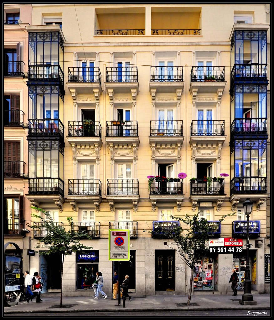 Balcones, Miradores y Forja - Madrid by Karppanta