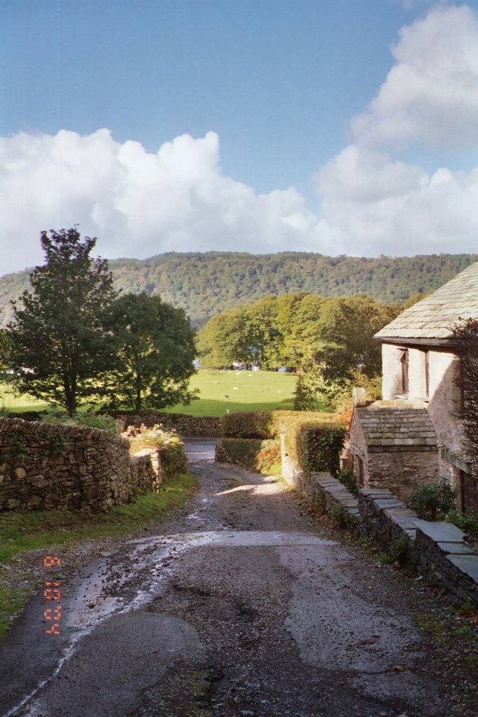 Close to Windermere, Lake District by Cocal