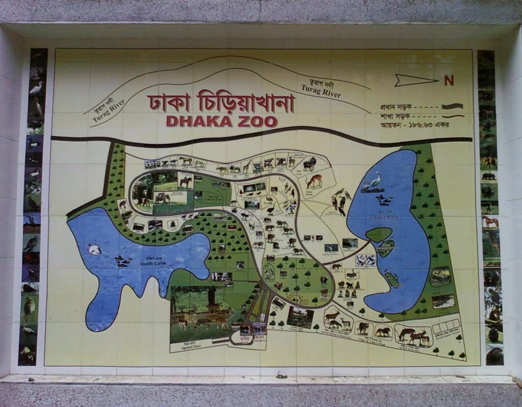 Sketch of Dhaka Zoo by Shameem Bakhshi